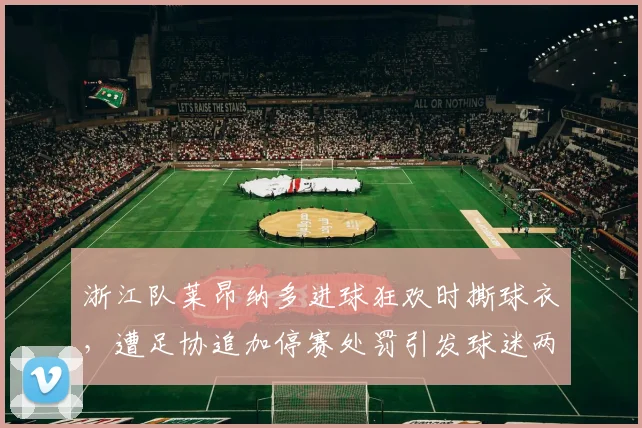 浙江队莱昂纳多进球狂欢时撕球衣，遭足协追加停赛处罚引发球迷两极讨论